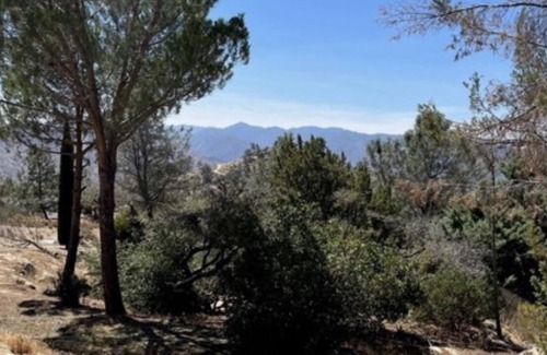 Wofford Heights Casa | Cabin woods