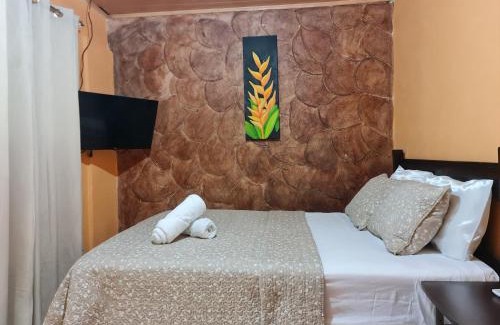 La Fortuna Apartamento | Cabina Arenal Z13