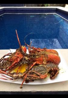 Puntarenas Apartamento | Cabina con Piscina