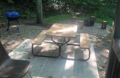 Logan Cabina | Cabins in a Clearing: Walnut, Chestnut & Beech - Check all three
