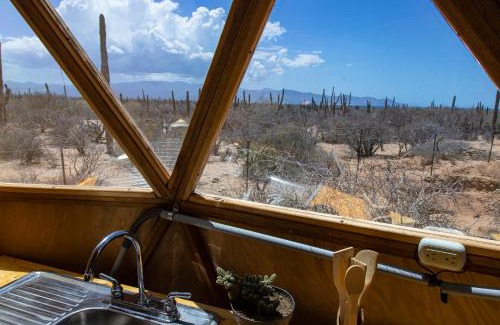 La Paz Otro | Cactus Lodge Baja