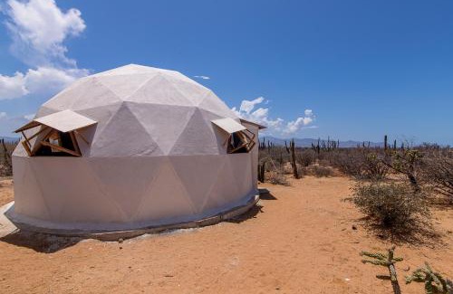 La Paz Otro | Cactus Lodge Baja