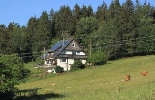 Muehlenbach Casa | Café Pension Pfaus Heidburg
