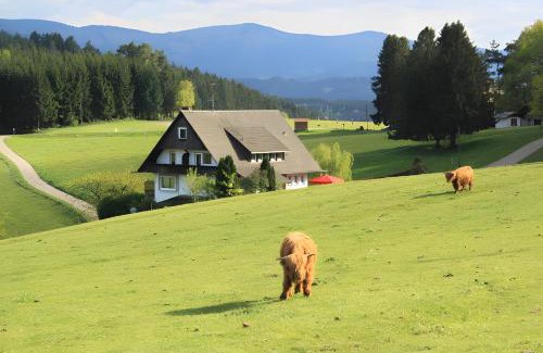 Muehlenbach Casa | Café Pension Pfaus Heidburg