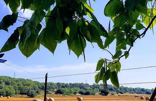 Crespia Cama Y Desayuno | CAL RUSC ALLOTJAMENT RURAL