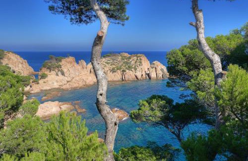 Tamariu Casa | Cala Nostra- Roca Rosa