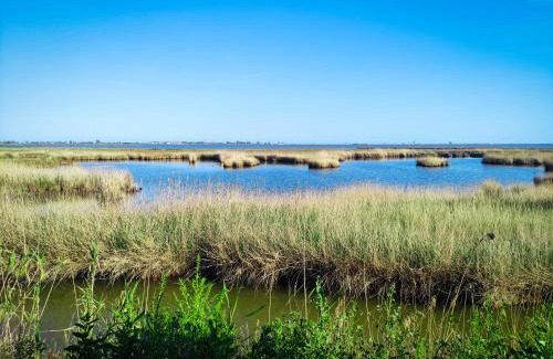 Poble Nou del Delta Cama Y Desayuno | CALA PIPA