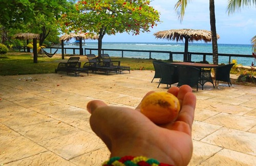 Calabash Bight Cabina | Calabash Bight Cabins con desayuno, playa y kayaks