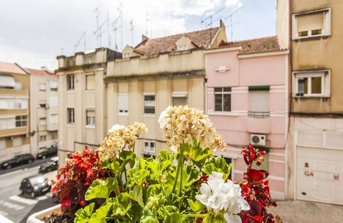 Penha de Franca Apartamento | Calado E