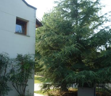 Lugo Casa | CaLi casa Rural