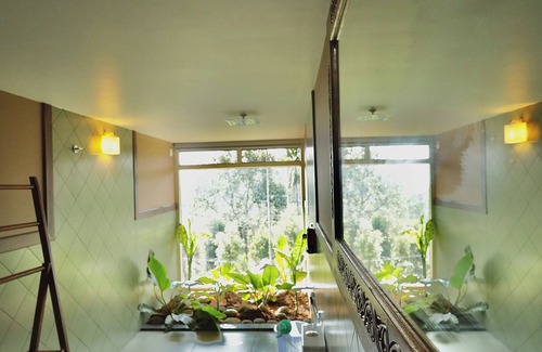 Meppadi Complejo | Calithra Boutique Resort