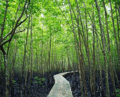 Phangnga Complejo | Calm at Bangphat