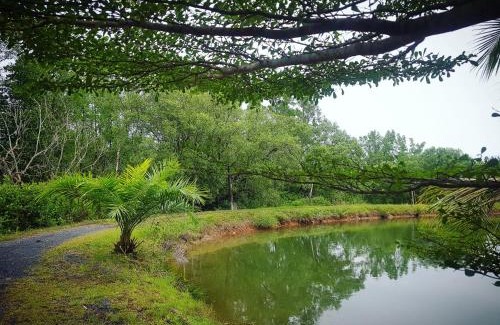 Phangnga Complejo | Calm at Bangphat