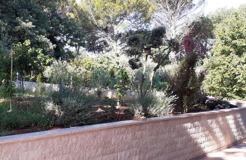 Brulo Apartamento | Calmaria Studio Apartments