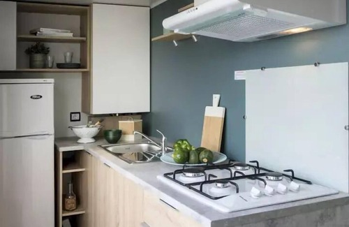 Vieilles-Maisons-sur-Joudry Casa | Camping Seasonova The Wood Pond ** - PRESTIGE COTTAGE 3 bedrooms 6 persons