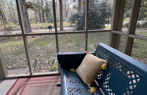 McComb Cabaña | Camellia Cottage - rural setting of historic Holmesville on Bogue Chitto River