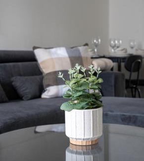 Larkhall Casa | Camneth House
