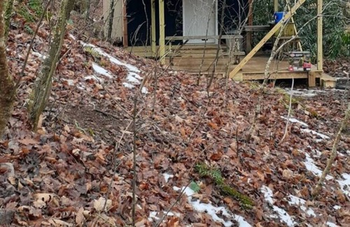 Todd Alquiler De RV | Camp Bigfun: Mountain Lakeview Tiny Cabin Solar Power Off Grid