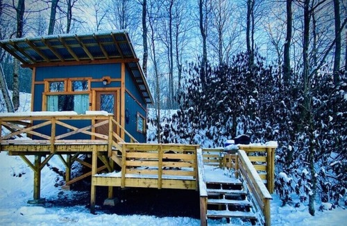 Todd Alquiler De RV | Camp Bigfun: Tiny Treehouse Cabin Solar Power Off Grid