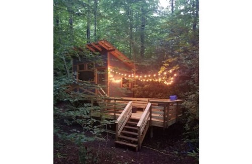 Todd Alquiler De RV | Camp Bigfun: Tiny Treehouse Cabin Solar Power Off Grid