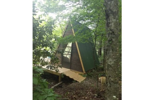 Todd Alquiler De RV | Camp Bigfun: Waterfront Tiny Cabin A-frame Solar Power Off Grid