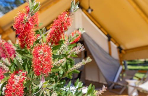 Blato Complejo | Camp Dole Zivogosce - Mobile home and Glamping tent