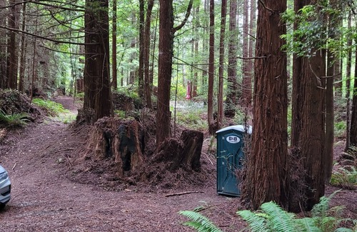 Fortuna Alquiler De RV | Camp in private Redwoods, no fires