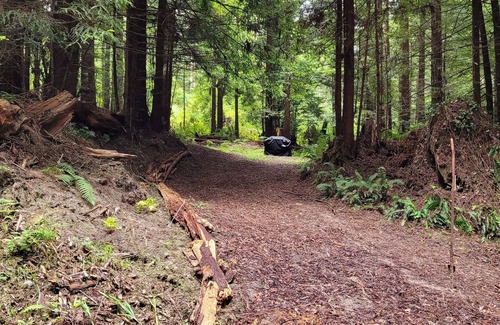 Fortuna Alquiler De RV | Camp in private Redwoods, no fires