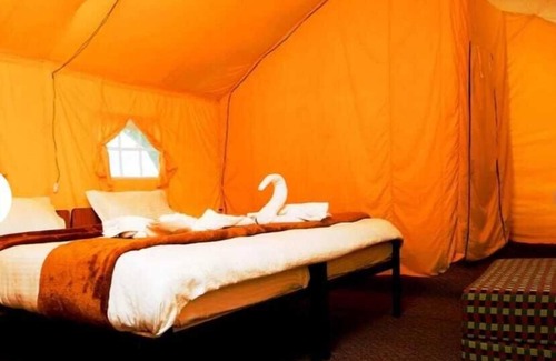 Hundur Cama Y Desayuno | Camp Norling Stars - Koyul