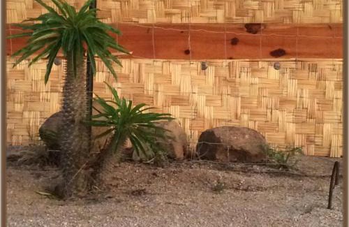 Todos Santos Casa | Camp - Santos Cabana Fabricio