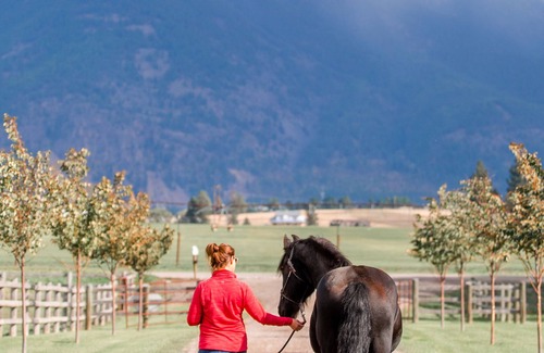 Columbia Falls Alquiler De RV | Camp Site on 24 Acre Horse Farm - Wellness Retreat Center