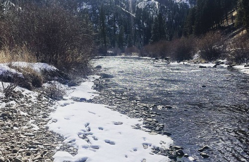 Ravalli County Alquiler De RV | CAMP SULA - RV SITE 7
