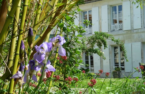 Saintes Casa | CAMPAÑA EN LA CIUDAD. Piscina privada climatizada. En el borde de Charente en Saintes.