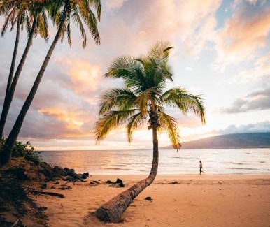 Kahului Apartamento | CampCar Maui Jeeps SUVs Hybrid Camper van Rentals with equipment and Travel Advice