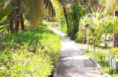 Kafountine Cama Y Desayuno | campement les baobabs Abene plage