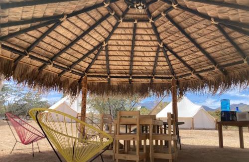 El Sargento Otro | Camper with A/C - Glamping 3 Idiomas