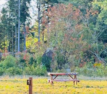 Forks Otro | Campground near Olympic NP