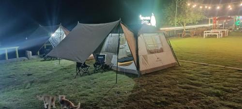 Kopeng Otro | Camping Agrowisata Kopeng Gunungsari