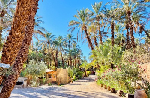 Amezrou Otro | Camping auberge palmeraie d'amezrou