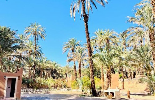 Amezrou Otro | Camping auberge palmeraie d'amezrou