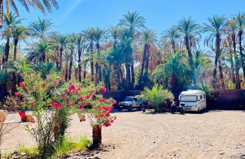 Amezrou Otro | Camping auberge palmeraie d'amezrou