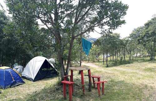 Sao Thome das Letras Otro | Camping Avohai