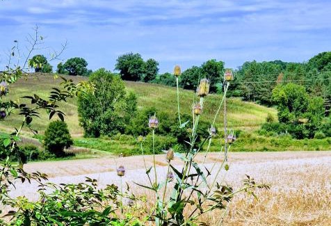 Margouet-Meymes Otro | Camping d'Artagnan