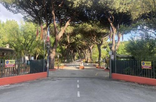 Marina di Massa Otro | Camping Dal Pino