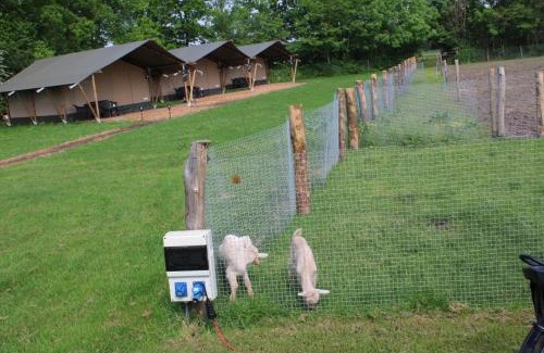 Oldemarkt Otro | Camping De Waterbuffelfarm