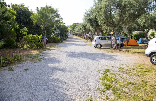 Sferracavallo Alquiler De RV | Camping Degli Ulivi