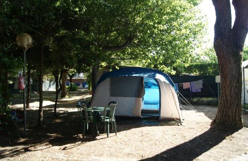 Marina di Massa Otro | Camping Dolce Sole