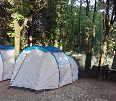 Marina di Massa Otro | Camping Dolce Sole