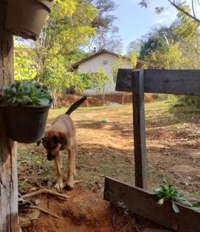 Carvalhos Otro | Camping e pousada dos sonhos