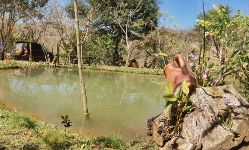 Carvalhos Otro | Camping e pousada dos sonhos